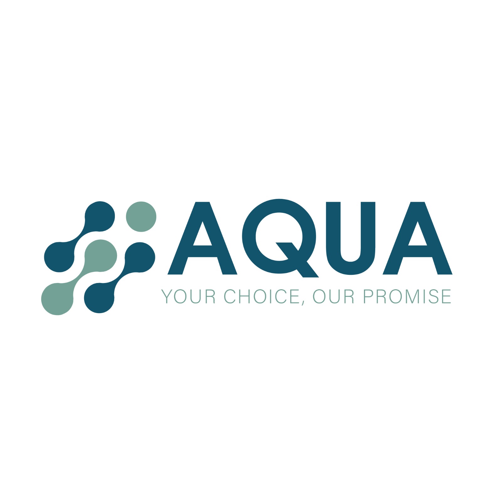 Aqua Software - Syria logo